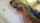 camgirl amateur hot