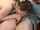 amateur hairy teen