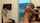 camgirl amateur hot