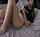 teen blowjob beautiful