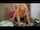 blonde milf doggystyle