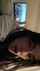 camgirl amateur hot