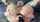 bdsm lesbians anal