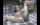 brunette shaved pussy bald pussy