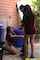 blowjob public amateur