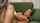 anal anal sex masturbation