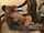 interracial redhead gangbang