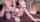 jav doggy stockings