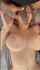 amateur big tits red hair