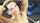 facial cum cum on face