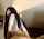 amateur camgirl homemade