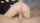 creampie teen cowgirl