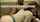 bbc interracial blowjob