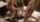 threesome anal blowjob