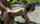 amateur public sex