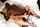 amateur bbc interracial