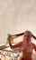 amateur teen babe