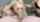 milf blonde blowjob
