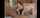 interracial bbc snowbunny