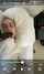 bbc shorthair blowjob on bed
