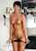 brunette mature shorthair