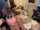 amateur camgirl brunette