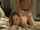 rough anal fuck