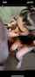 deepthroat blowjob amatuer
