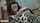 jav beauty kute