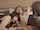 threesome asian blowjob