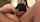 threesome hairy pussy riding