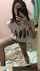 asian masturbate mirror