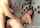 camgirl latina doggy