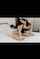 camgirl solo brunette