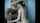 camgirl blowjob deepthroat