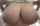 big tits big boobs tits