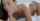 petite brunette blowjob