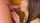 brunette blowjob amateur