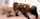 lesbians white girl ebony