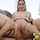 pussy fuck anal and boobs