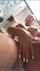 camgirl amateur latin