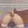 anal big dlido solo