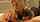 blonde beautiful handjob