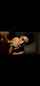 pov blowjob brunette