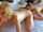 threesome sexy hot