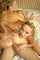 threesome sexy hot