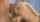 blonde blowjob cumshot