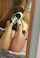 blowjob bbc mirror