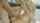 blonde small tits curvy ass