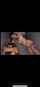 gangbang gloryhole creampie